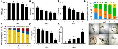 The Effects of Storage in vitro on Functions, Transcriptome, Proteome, and Oxidation Resistance of Giant Grouper Sperm